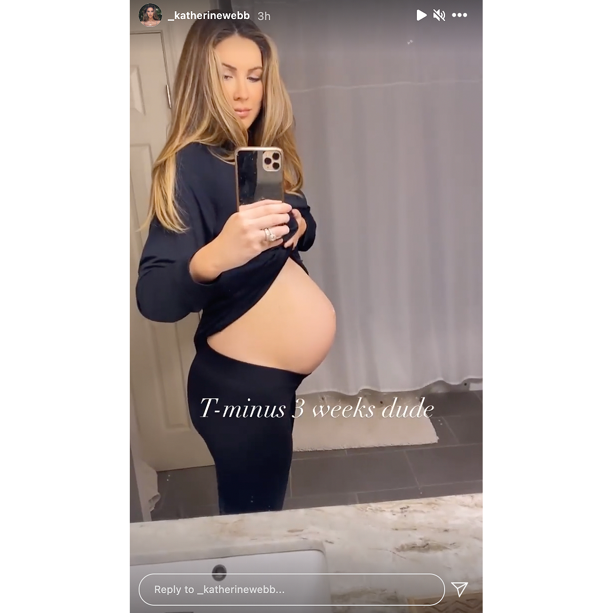 Pregnant Selfie